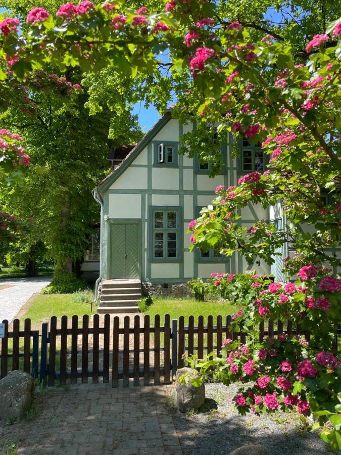 Jagdschloss Friedrichsmoor Neustadt-Glewe Dış mekan fotoğraf